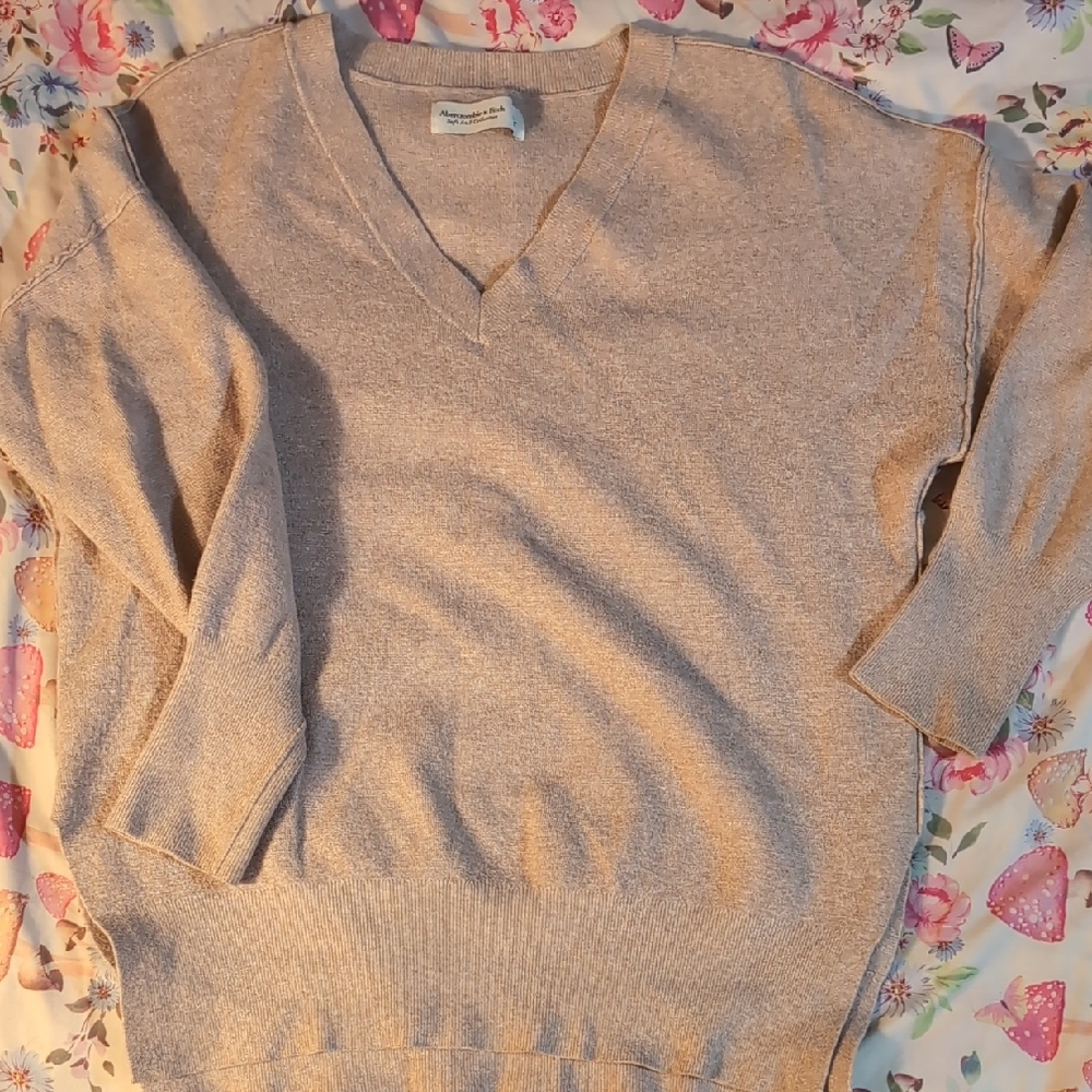Abercrombie & Fitch Light Tan V-Neck Sweater